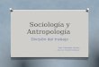 Sociología y antropología/División del trabajo