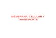 Membrana y transporte