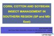 CORN, COTTON AND SOYBEAN: INSECT MANAGEMENT IN SOUTHERN REGION (SP and MS-East)