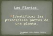 Identificar las-partes-de-las-plantas ppt