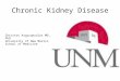Chronic Kidney Disease in Primary Care