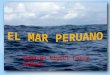Mar peruano 1°s