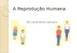 A ReproduçãO Humana