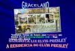 Elvis Presley - It's Now or Never(Graceland)...A vida do ETERNO REI