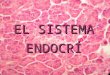 El sistema-endocr-1202078969440024-5 (pp tshare)