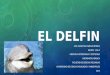 Medicina Veterinaria y Zootecnia - El Delfin