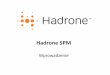 Hadrone SPM - wprowadzenie - 20.04.2015