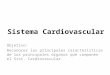 Práctica Sist. Cardiovascular