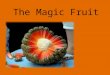 The magic fruit