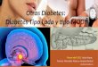 Otras Diabetes:  Diabetes Tipo Lada y tipo MODY
