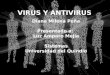 Presentación virusy antivirus