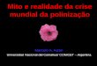 Marcelo Aizen - Mito e realidade da crise mundial da polinização Marcelo A. Aizen Universidad Nacional