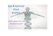 ESPIRAL DEL EXITO - eBook-Marvin Roca Gatica