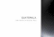 Trabajo Prctico de Geograf­a: "Guatemala"