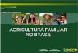 Pedro Bavaresco - Brasil - Agricultura familiar