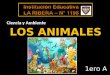 Los animales. Primaria IE N° 1198. La Ribera Aula de Innovaciones pedagogicas
