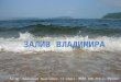 Залив Владимира