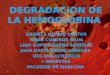 DEGRADACIÓN DE LA HEMOGLOBINA UCC