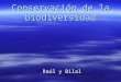 ConservacióN De La Biodiversidad