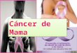 Câncer de mama y útero