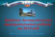 Бюджет Бутурлинского района на 2014 год