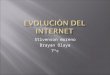 Evolución del internet 7c