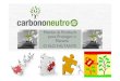 Carbono neutro social briefing pdf