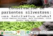 Julian R - Programa Global de Conservacion de Recursos Geneticos SIRGEALC Quito 2011