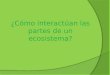 Introducción a ecosistemas y biomas 5°