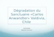 Dégradation du sanctuaire «Carlos Anwandter» valdivia, chile