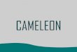 Apresentação cameleon