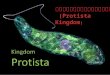อาณาจักรโพรติสตา Protista-kingdom