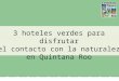 3 hoteles verdes para disfrutar del contacto con la naturaleza en Quintana Roo