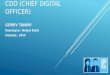 CDO (Chief Digital Officer) Görev Tanımı