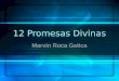 12 promesas divinas