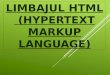 Info an 2  introducere in html