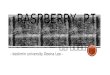 Raspberry pi