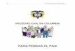 La sociedad civil en colombia