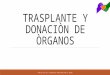 Trasplante y donacion de òrganos Noelia
