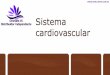 Sistema Cardiovascular   Omnilife ES - Distribuidor Independente