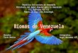 Biomas de Venezuela