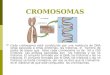 Cromosomas 1227375189742458-9