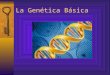 Presentacion genetica cmc dario y fco. javier