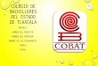 Colegio de bachilleres del estado de tlaxcala 06, alondra gabi