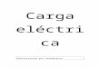 cargas electrica