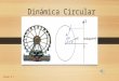 Dinámica circular