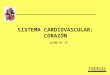 Clase 17; sistema cardiovascular, corazon