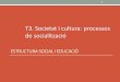 T3 es societat i cultura processos de socialització
