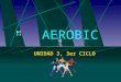 Aerobic 1203446632518475-2 (pp tshare)
