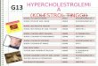 Hypercholesterolemia - Komunikasi Kesihatan